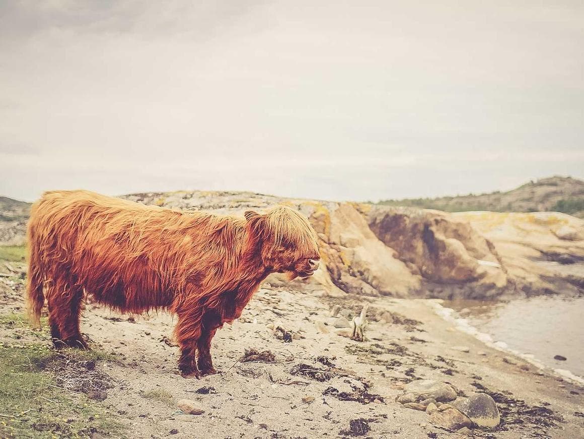 Ergonomic Wooden Gloves
