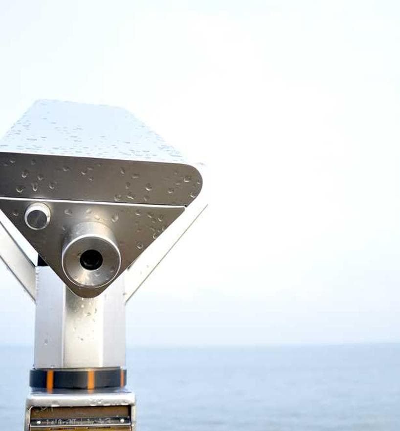 Elegant Bamboo Chips