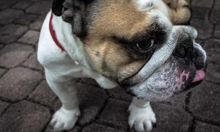 Luxurious Bamboo Keyboard