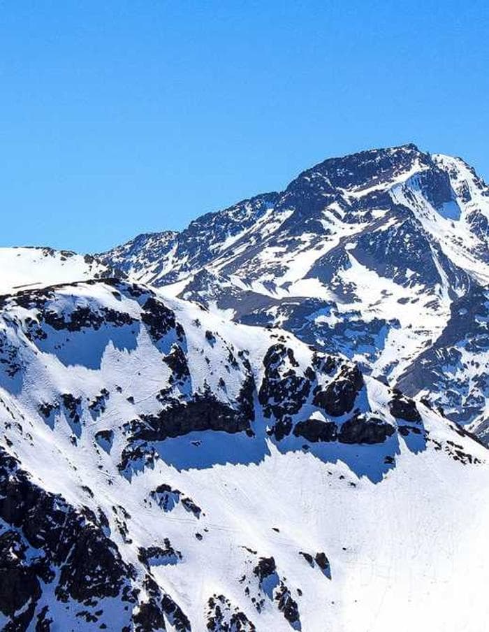 Practical Cotton Bacon